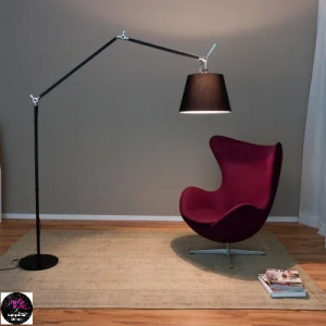 tolomeomegalogo tolomeomegalogo