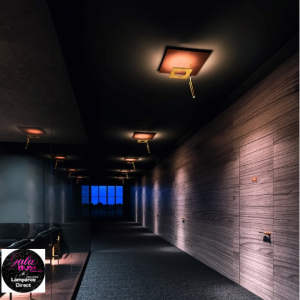 petrap2logo petrap2logo