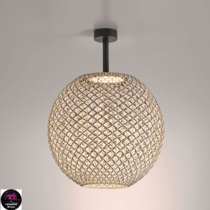 nanspfsphere60logo.jpg nanspfsphere60logo.jpg