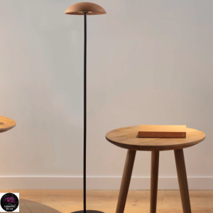 absidiola-peu-.plat-logo absidiola-peu-.plat-logo